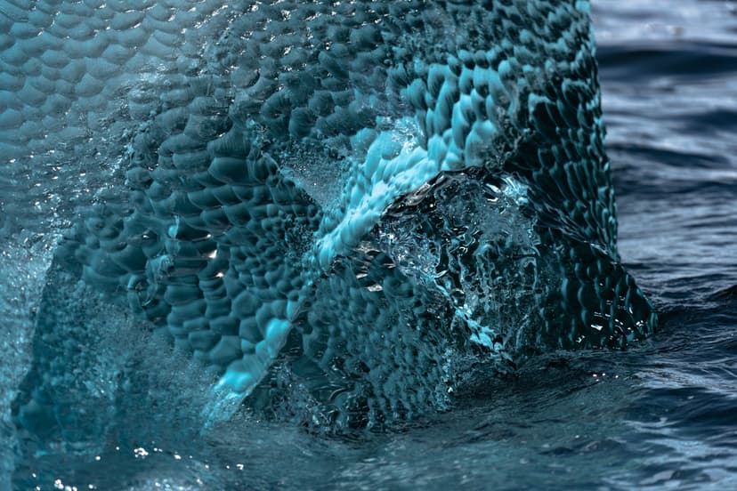 Nine Days on Antarctica